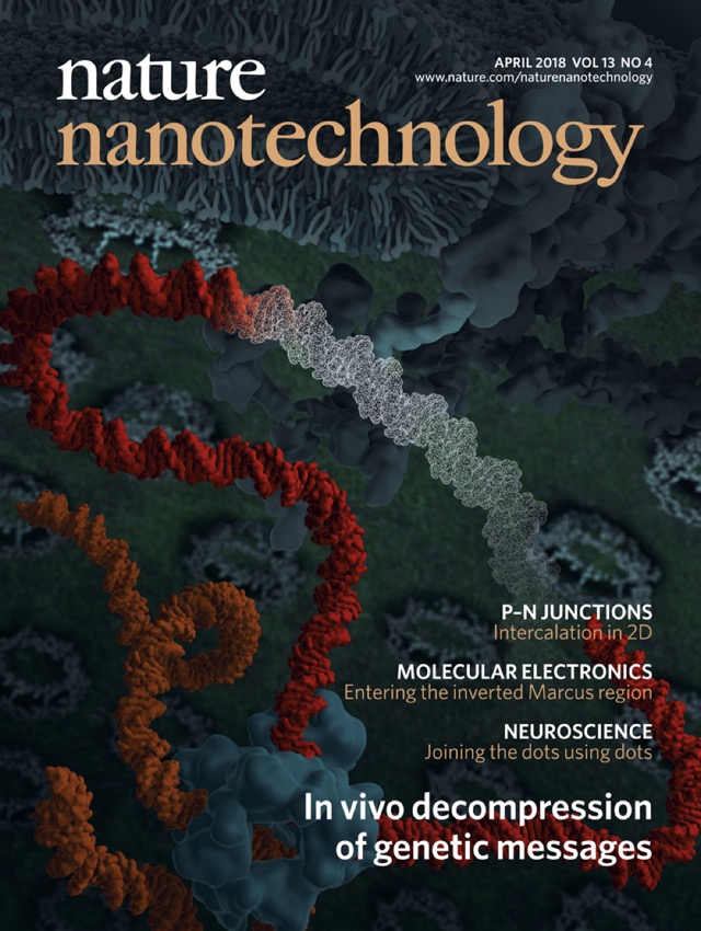 Nature Nanotechnology cover artwork